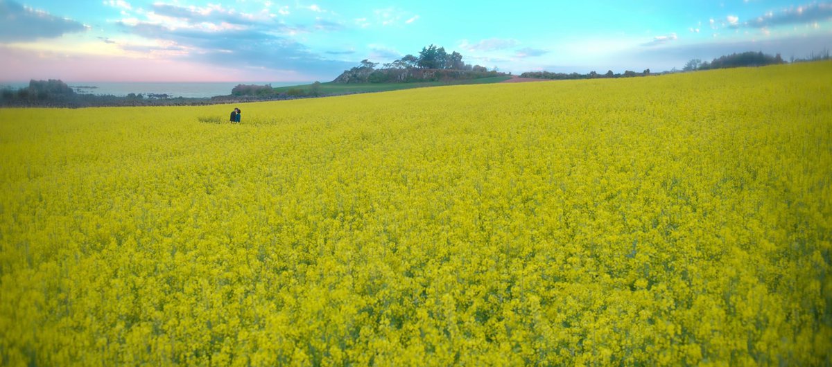 the beauty of when life gives you tangerines 🍊