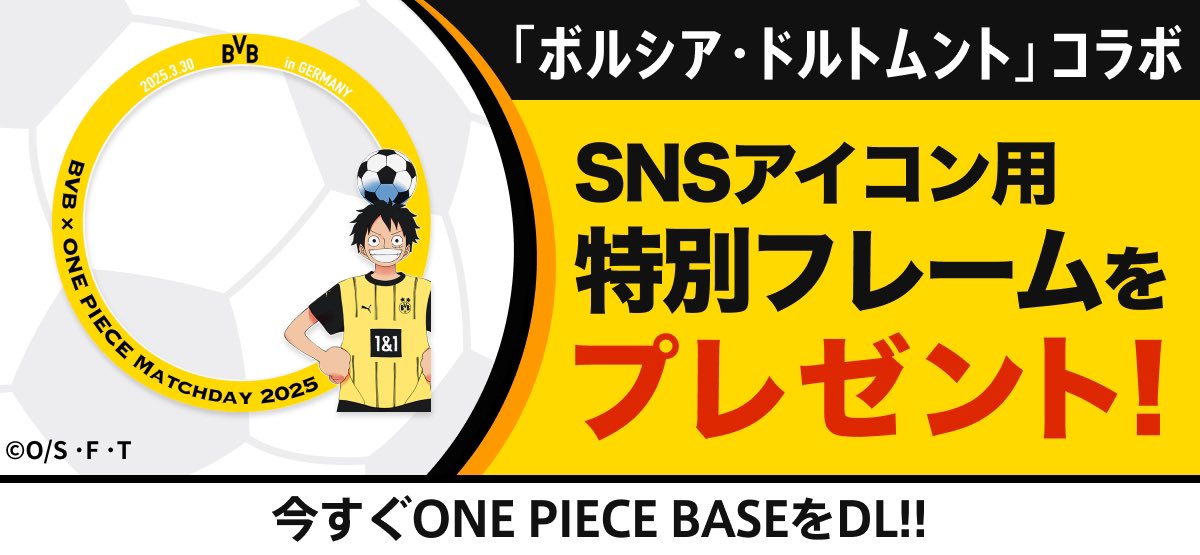 専用★ボルシア・ドルトムント 2011年 ブンデスリーガ優勝記念写真集 2012ブンデスリーガ】ドルトムント2連覇達成&ドイツ杯優勝は