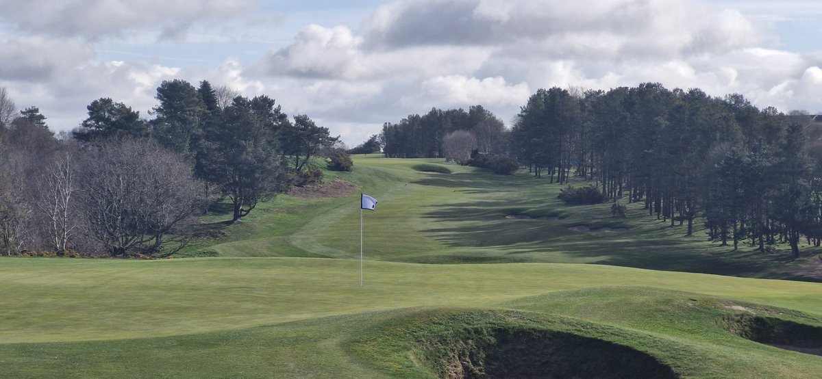 jojo10580's tweet photo. Course starting to take shape a little @hallamshiregolf https://t.co/egf8MLrIu8