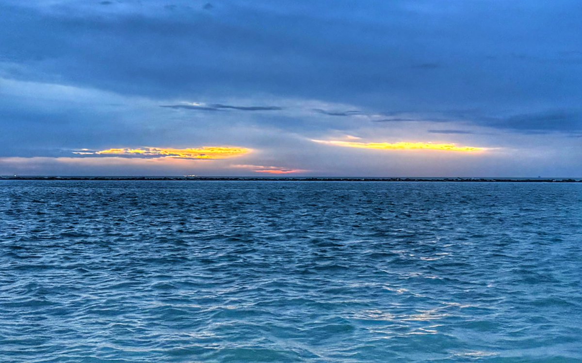 ReynoldsWolf (@reynoldswolf) on Twitter photo  ReynoldsWolf (@reynoldswolf) on Twitter photo