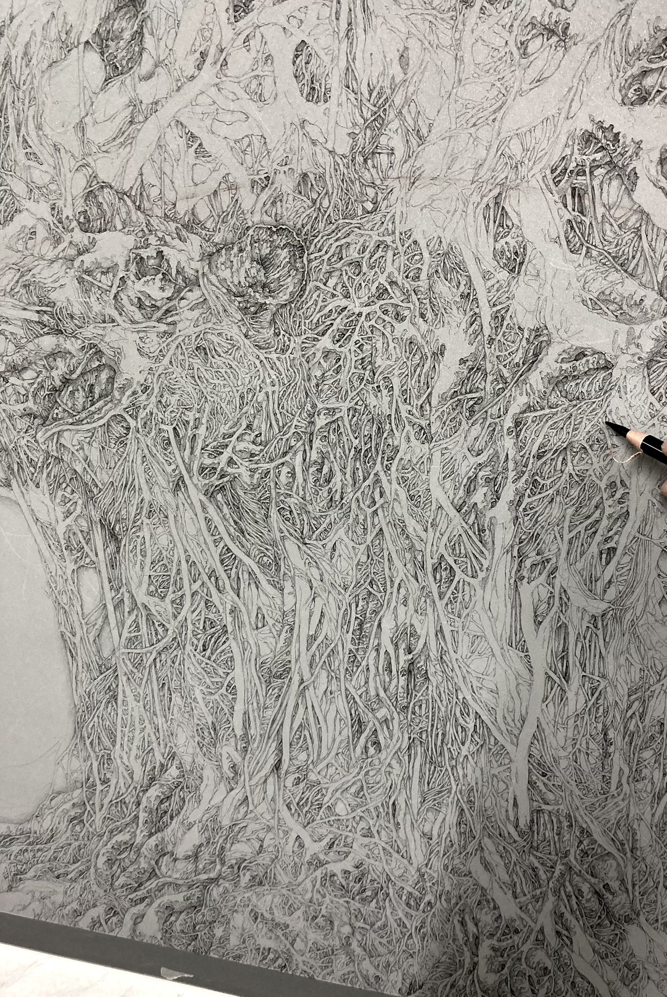 Ayaka YAMADA 山田彩加 (@YAMAD_ART) / X