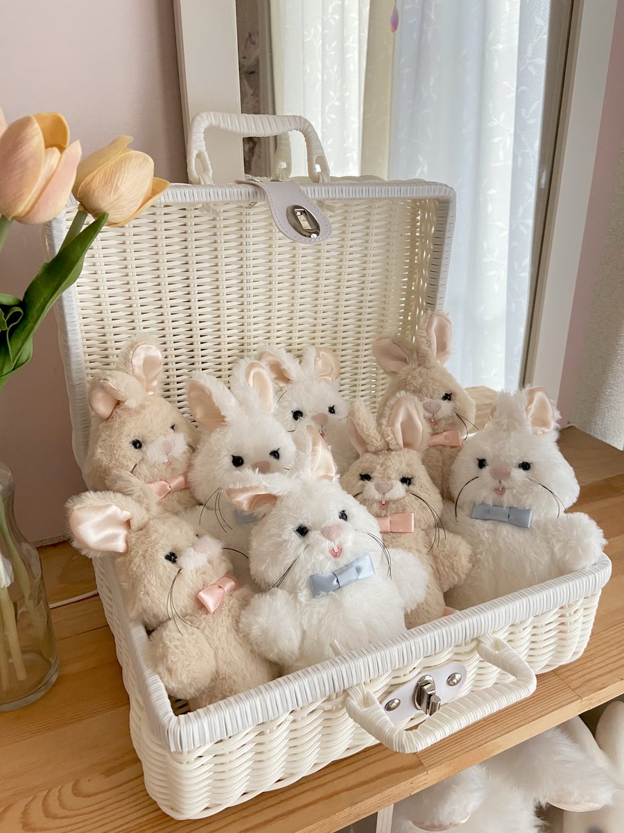 𝘈𝘬𝘪 . 𝘗𝘩𝘳𝘢𝘶𝘭𝘢* (@aki_phraula) / Posts / X