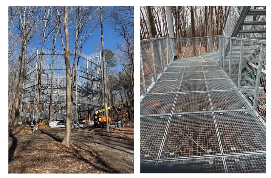 🌱 Spring is in the air—and so is our latest newsletter! 🌿
New projects, erosion solutions, urban planning insights, and a big congrats to Sarah Pritchard on her award win!
Check it out 👉 - mailchi.mp/wplsite/wpl-co…