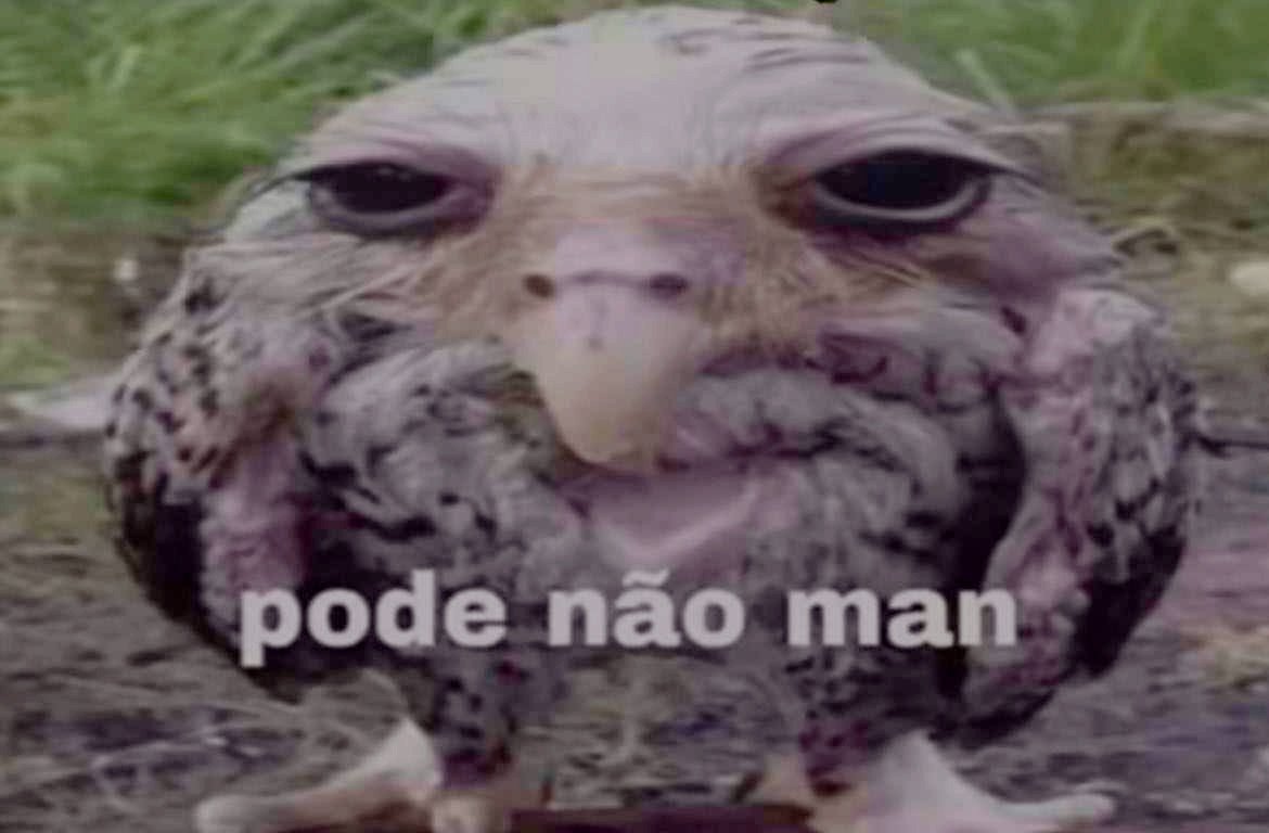 pasroxo's tweet photo. @calou_crlh @PepoMega_ 0 respeito https://t.co/sx5kdtAhQE