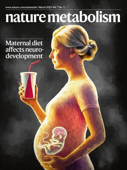 EddieRDMD's tweet photo. Journal Nature: Western diet in pregnancy—high fat/sugar, low fresh foods—may raise ADHD &amp; autism risk in kids. Maternal diet could be a modifiable factor in early neurodevelopment.
n=60,000 mother-child pairs across 4 cohorts.

Full article: https://t.co/qc8kNfnzmC @_atanas_ https://t.co/9yEiltQpu9