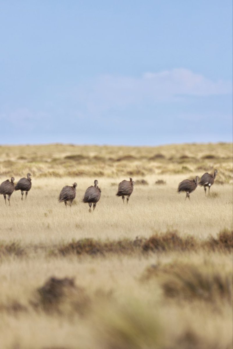 Celia Cintas tweet media