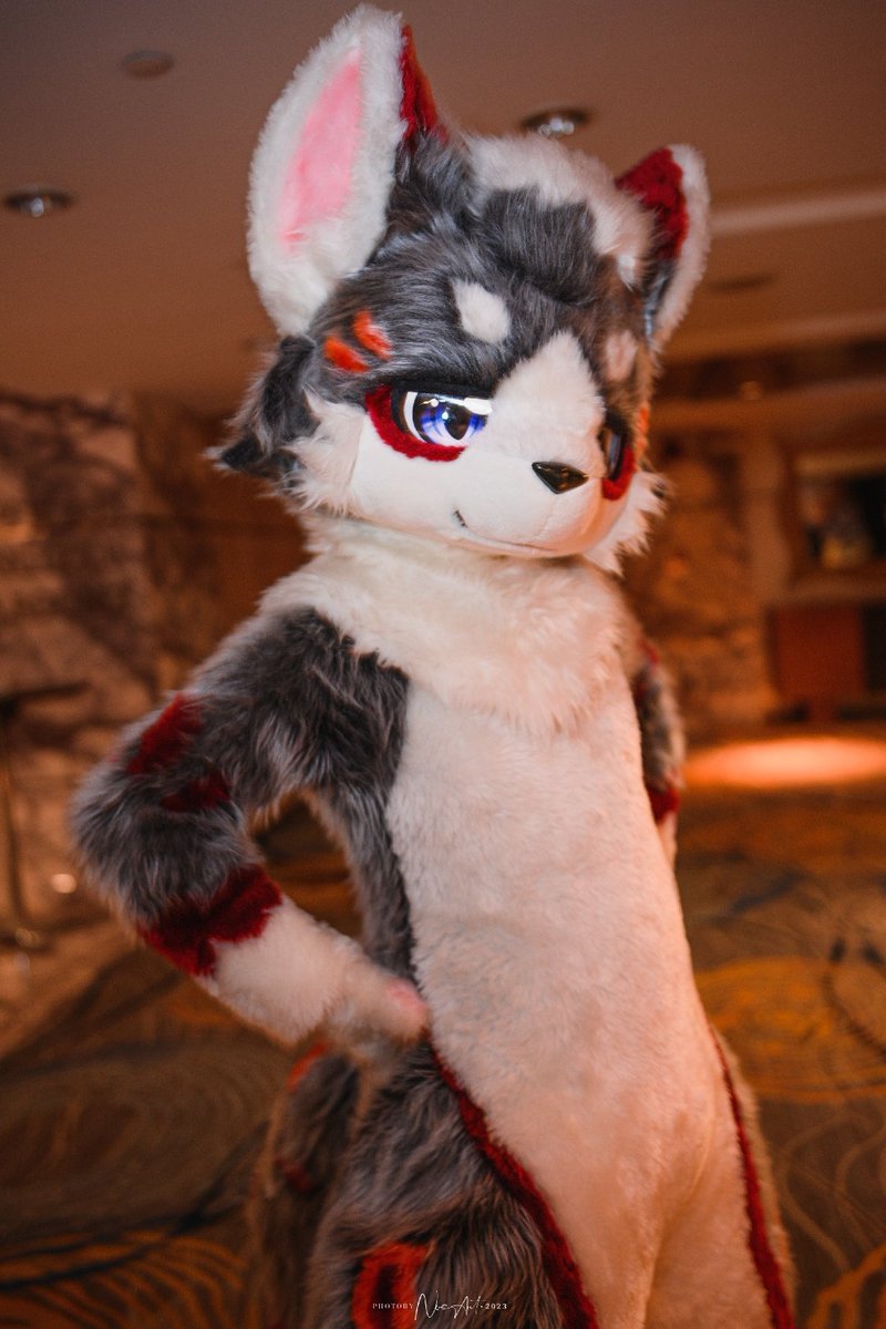 #ATOAMA2025
5年了！灯火也想上一次
📷<a href="/makanae02/">makanae</a>