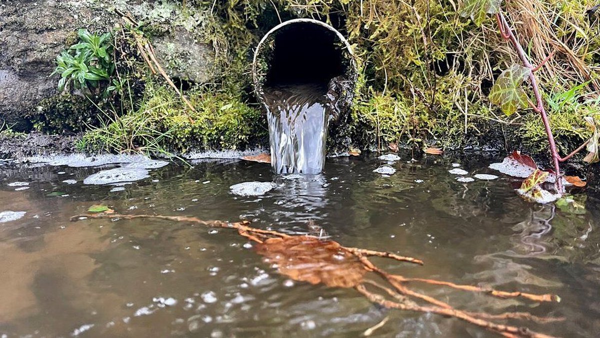Shocking new figures released this week show more than 544,000 hours of sewage spills by South West Water last year, while water bills rise for local residents yet again.

Here in North Devon, we risk ruining one of our area’s most special features – its stunning coastline - if