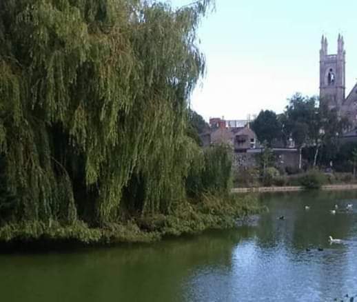 BUCHANAN: Dublin Time Machine tweet media