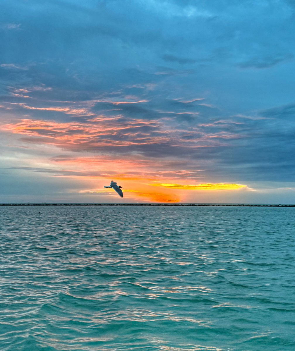 ReynoldsWolf (@reynoldswolf) on Twitter photo  ReynoldsWolf (@reynoldswolf) on Twitter photo