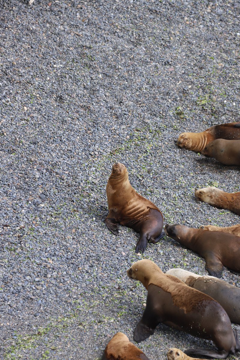 Celia Cintas tweet media