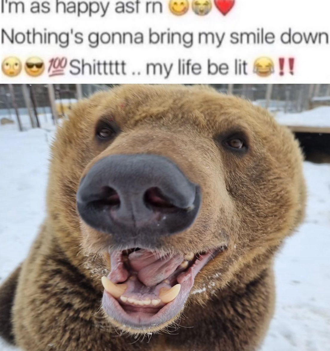 BearyDales (@bearydales) on Twitter photo 