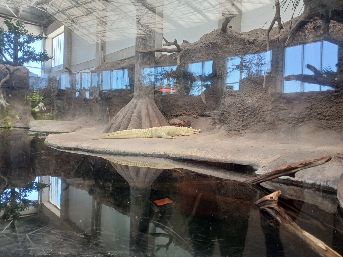 Ms.Waterman (She/Her) tweet media