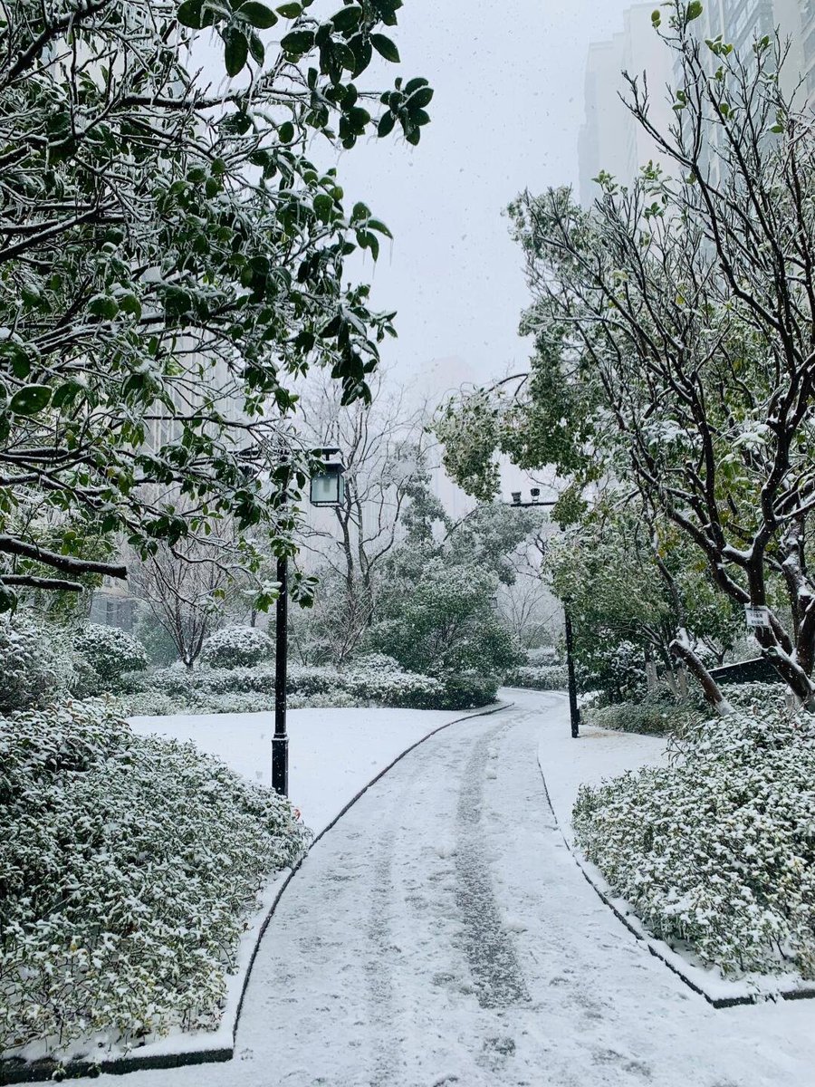 RubyStork's tweet image. When the rain meets the snow, nature paints a serene masterpiece