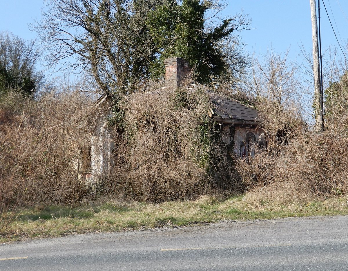 An Taisce tweet media