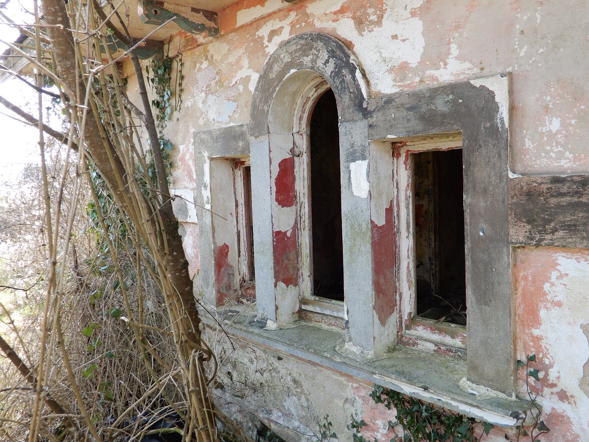 An Taisce tweet media