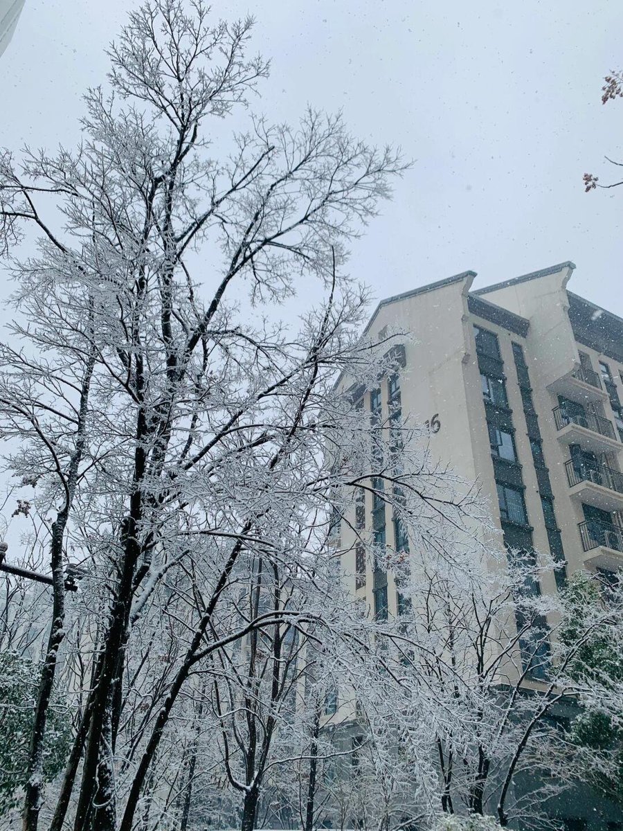 RubyStork's tweet image. When the rain meets the snow, nature paints a serene masterpiece