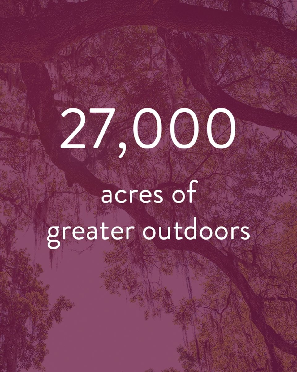 WyldOaks's tweet image. At Wyld Oaks, nature is right at your doorstep thanks to your Apopka location. With 27,000 acres of breathtaking outdoor spaces nearby, there&apos;s endless room to explore, unwind, and connect with the beauty of the greater outdoors. 🌞✨

#NorthwestOrlando #BranchOut #WyldOaks