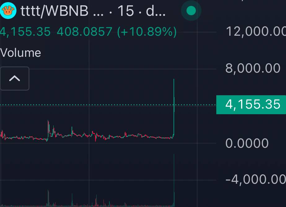 tttt_bsc's tweet photo. @PancakeSwap @MerlinLayer2 $TTTT He wakes up👀 https://t.co/HU4NsiBaF8
