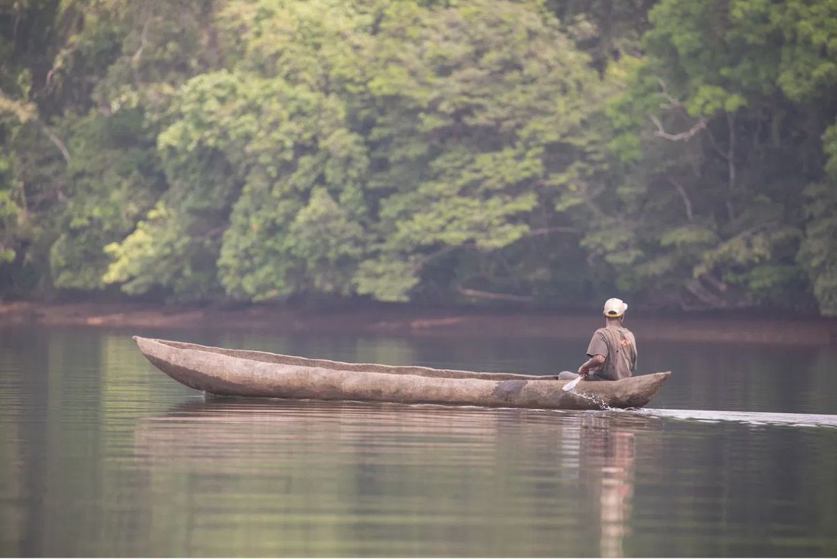 Gbowee Peace Foundation Africa-USA tweet media