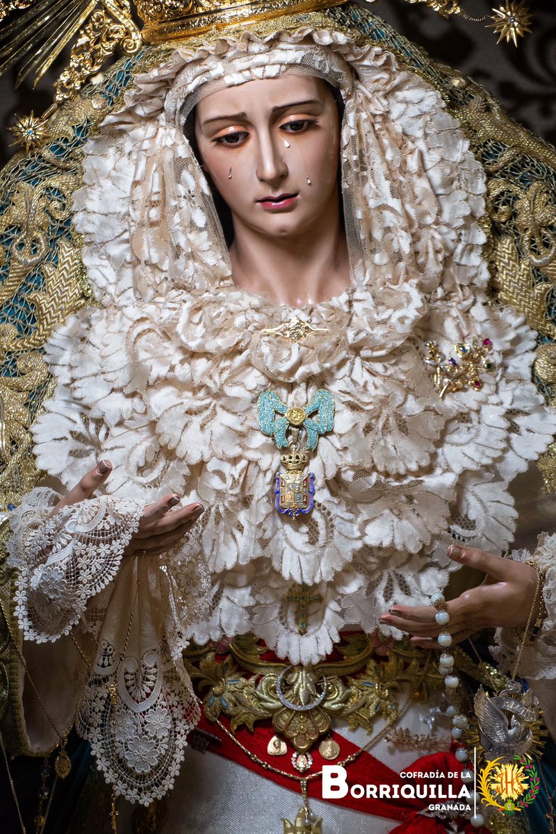 Cofradía Borriquilla de Granada tweet media