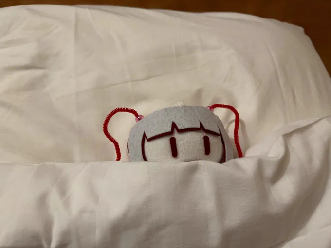 ⌒(' ヮ ')⌒おやすみ またあした 