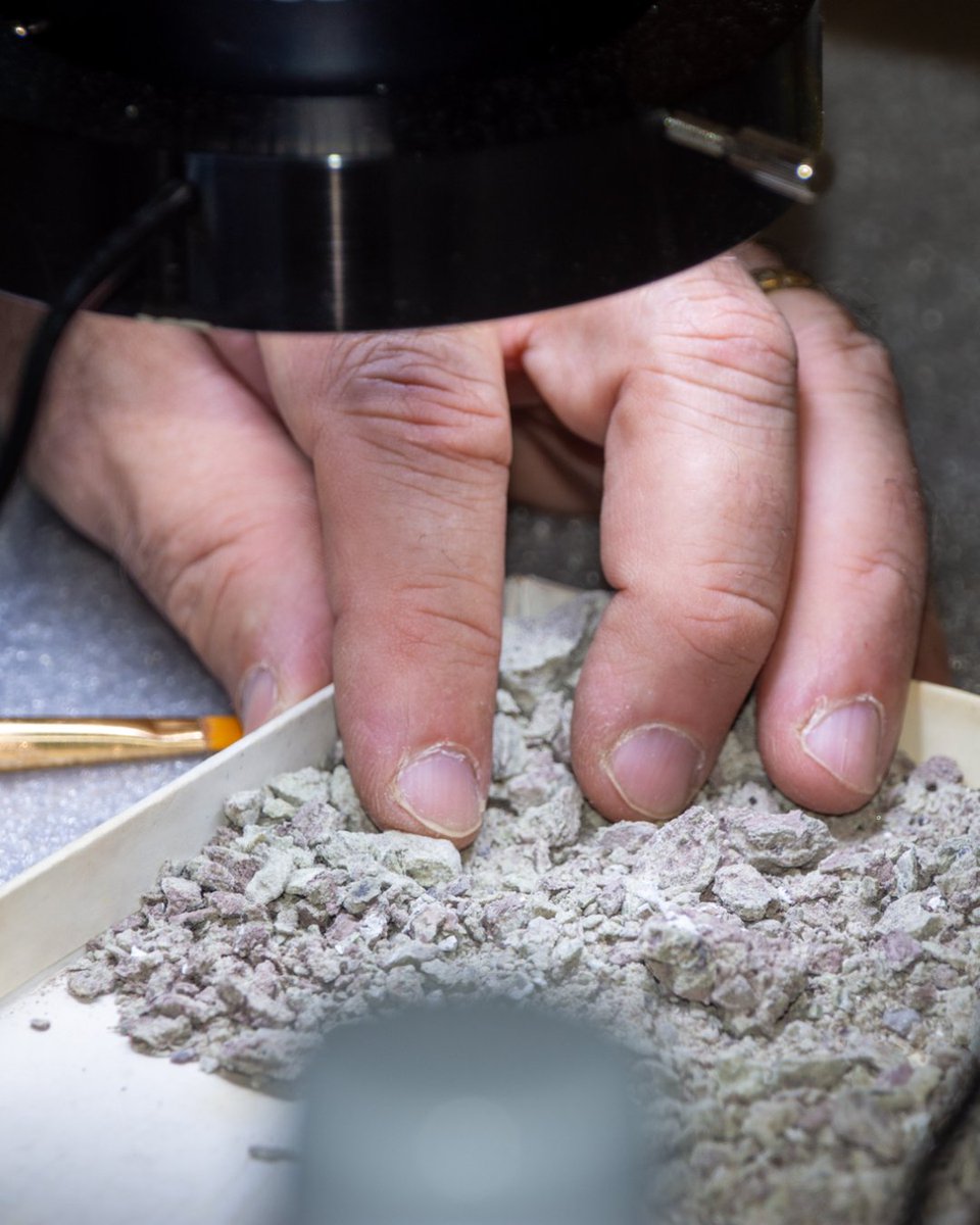Virginia Tech Science (@vt_science) on Twitter photo Join the Museum of Geosciences for their first ever Specimen Identification Day! Bring any rocks, minerals, fossils, or meteorites you want to be identified by our <a href="/vtgeosciences/">Geosciences at VT</a> faculty, staff, and students. Details: Derring Hall Room 2062, Saturday, 4/12/25, 12-2 p.m. Join the Museum of Geosciences for their first ever Specimen Identification Day! Bring any rocks, minerals, fossils, or meteorites you want to be identified by our <a href="/vtgeosciences/">Geosciences at VT</a> faculty, staff, and students. Details: Derring Hall Room 2062, Saturday, 4/12/25, 12-2 p.m.