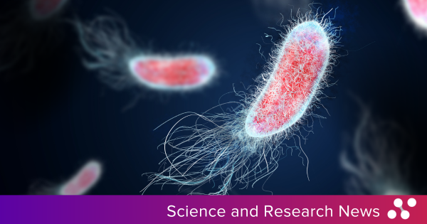 LifeNoble's tweet photo. Researchers at the University of Colorado Anschutz Medical Campus have developed a nanogel-based method to deliver antibiotics directly into bladder tissue, effectively eliminating over 90% of bacteria in animal models. https://t.co/18ogq0lL83

#research #uti https://t.co/AmIm3cs1aU