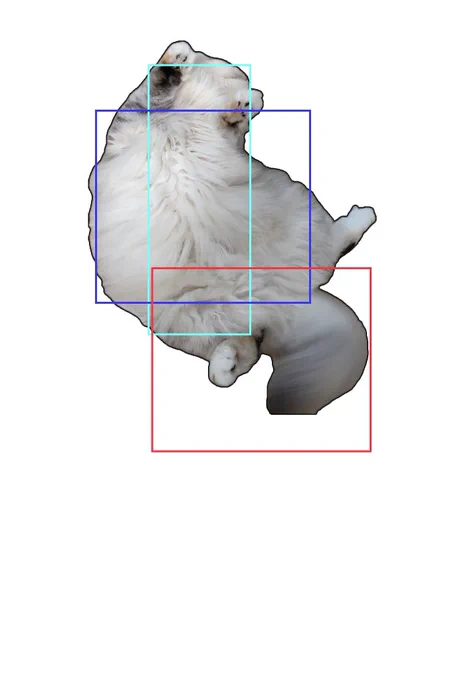 うちの猫のジャンプDです 
