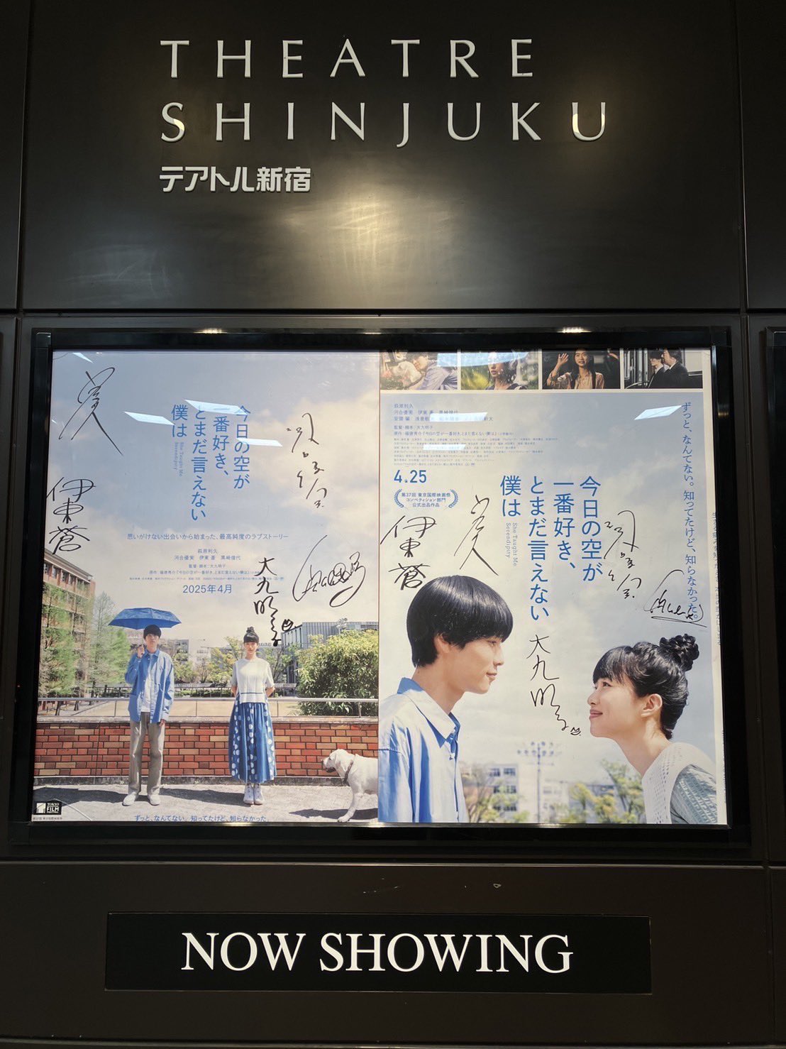 映画 今日の空が一番好き、とまだ言えない僕は B1ポスター 両面印刷