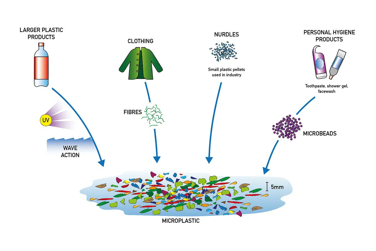 🌍 Microplastics: The Invisible Pollution We Must Address 🌍

Microplastics are everywhere—our oceans, soil, air, and even the food we eat. But where do they come from, and what can we do about them?

🔬 The Real Culprits

Most microplastic pollution comes from single-use