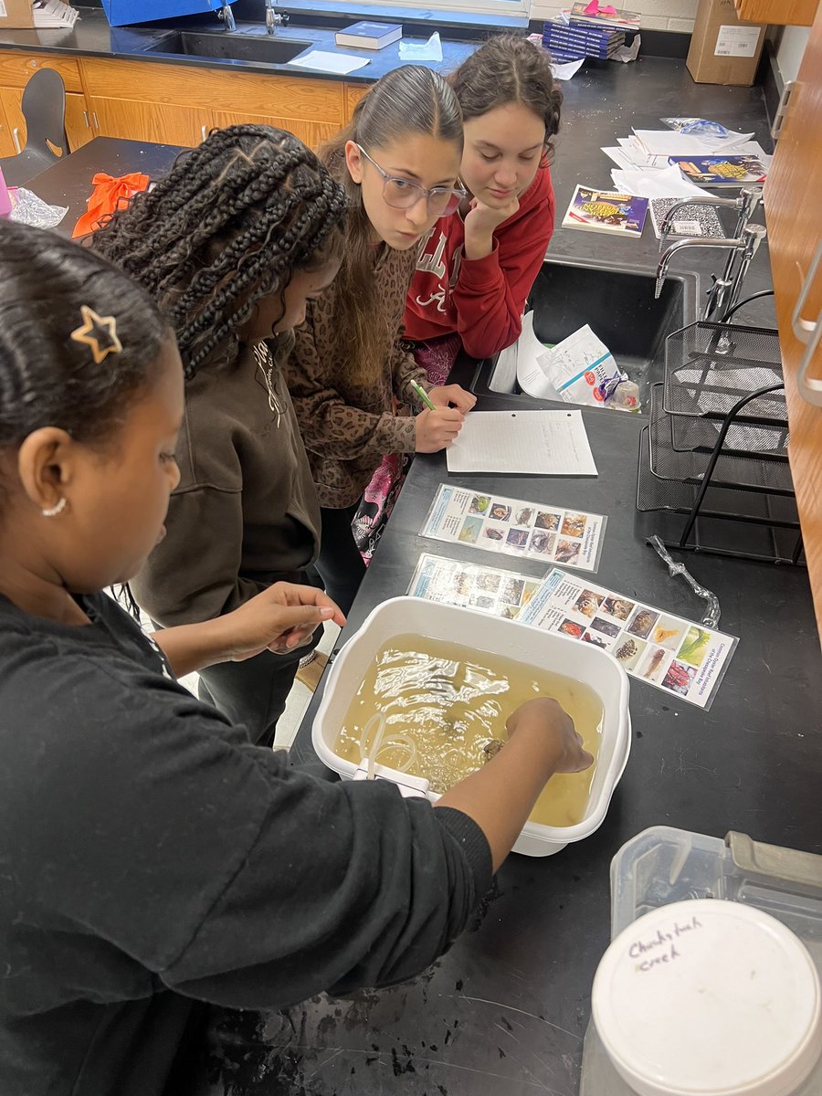 KFMSjaguars757's tweet image. Our students learning and exploring in collaboration with Nansemond River Preservation Alliance!!
#sciencerocks #growingtogether #SPSCreatesAchievers