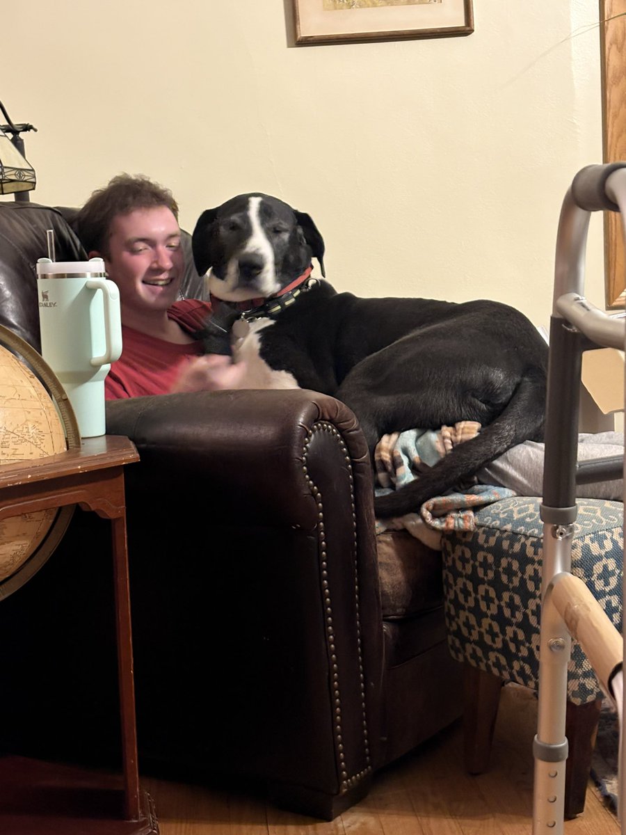 Matt Neustadt tweet media