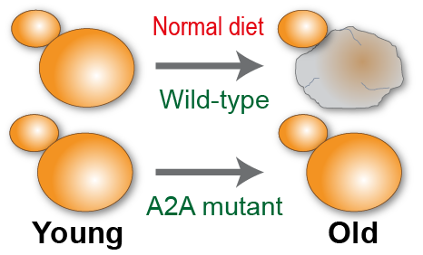Houseley Lab tweet media