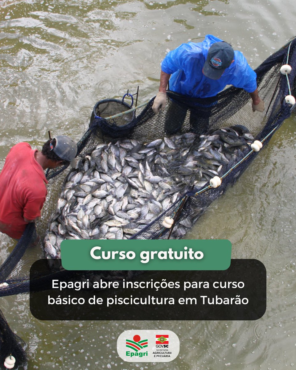 🐟✍️ A Epagri está com inscrições abertas para o curso básico de piscicultura que será realizado entre 13 e 15 de maio, no centro de treinamento em Tubarão.

Clique e saiba mais: x.gd/flnTN