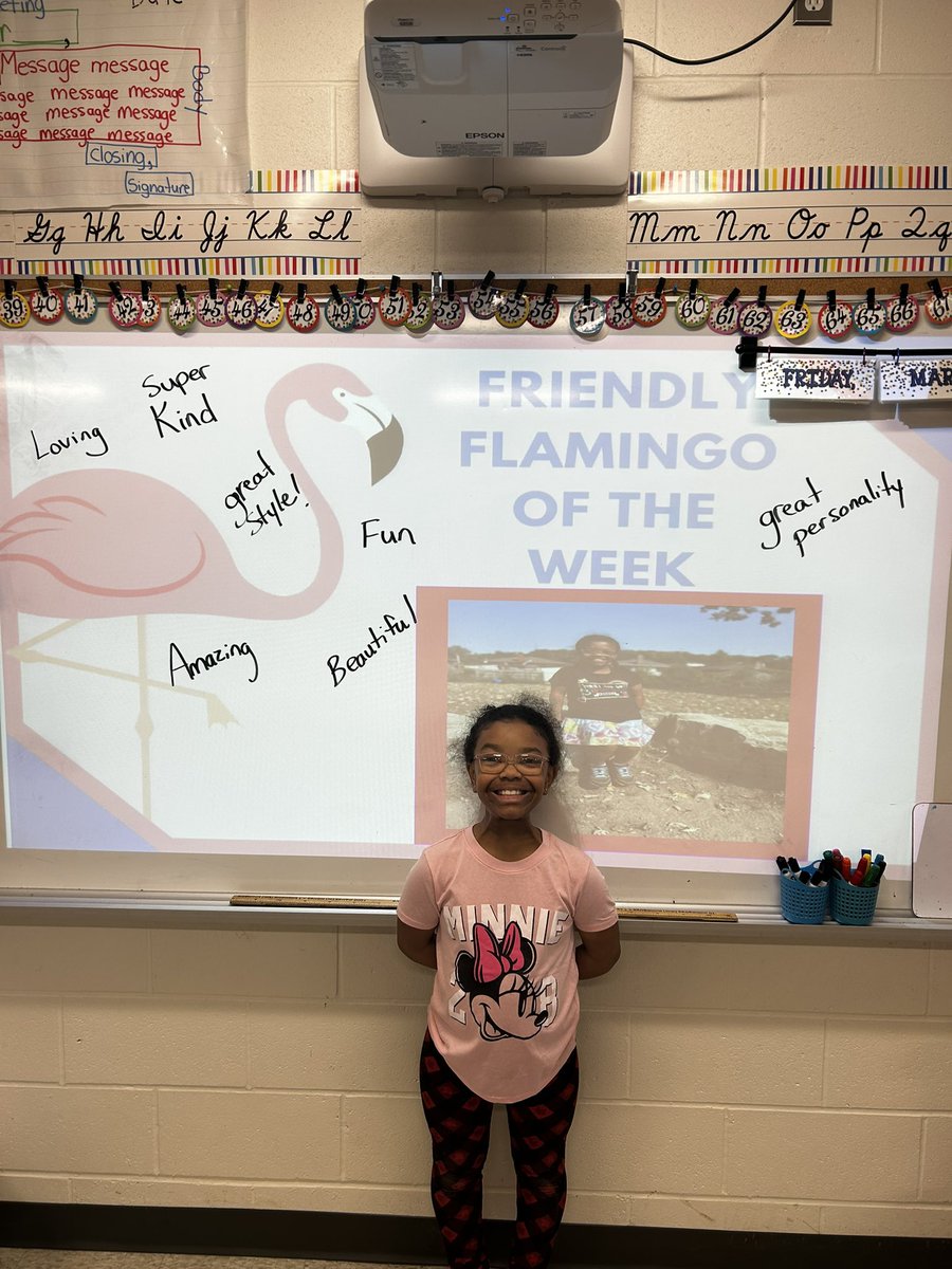Such a beautiful Flamingo of the week 🦩