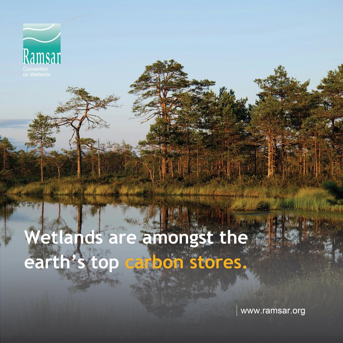 Wetlands are amongst the earth's top carbon stores. By conserving and restoring high carbon wetlands we can reduce carbon emissions &amp; increase our capacity to adapt to climate change, while improving biodiversity, water security &amp; human wellbeing.

#ClimateAction #WetlandsMatter