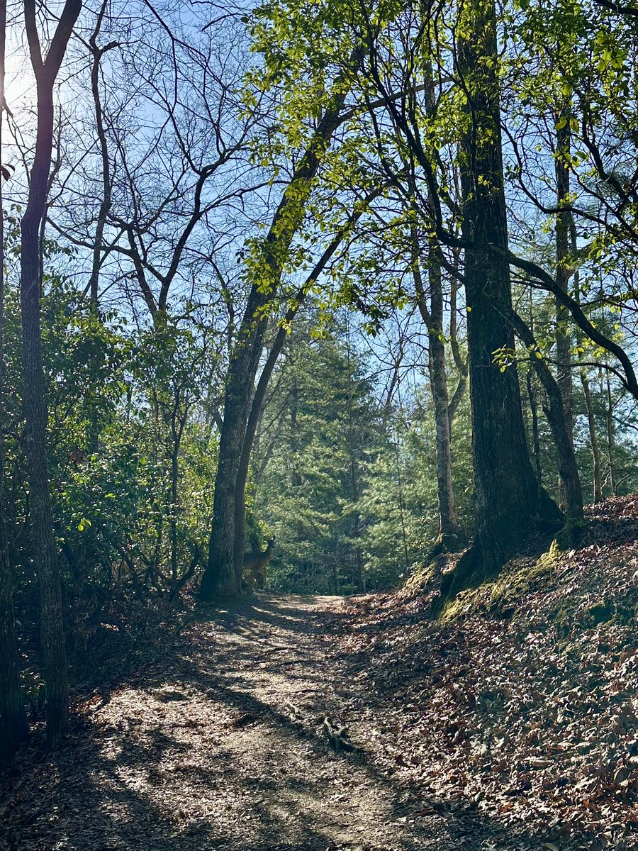 Was blessed to spend a few days in the ancestral homelands of the Cherokee people, and the contemporary lands of the Eastern Band of Cherokee. Donadagohvi!