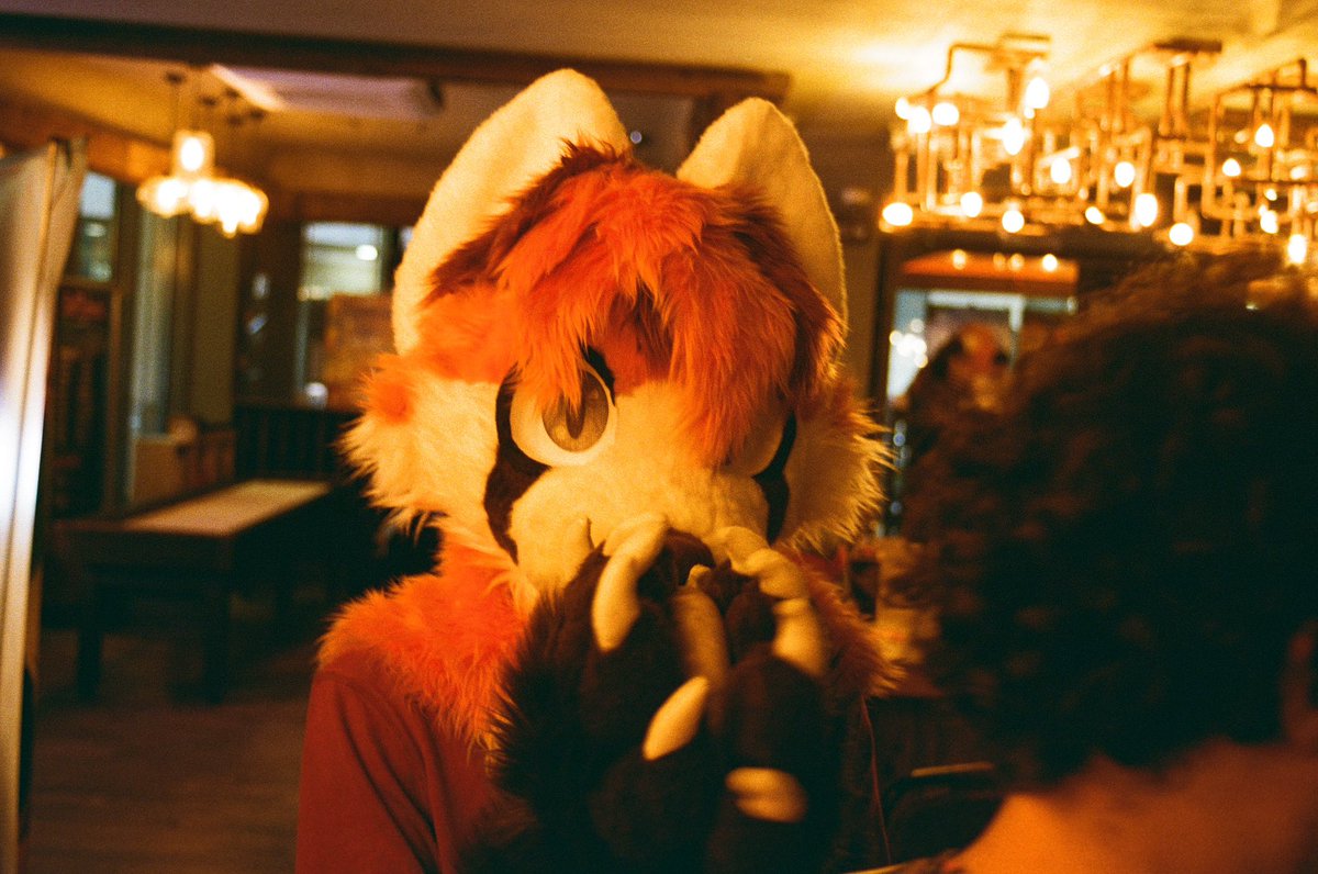 furs suit Friday