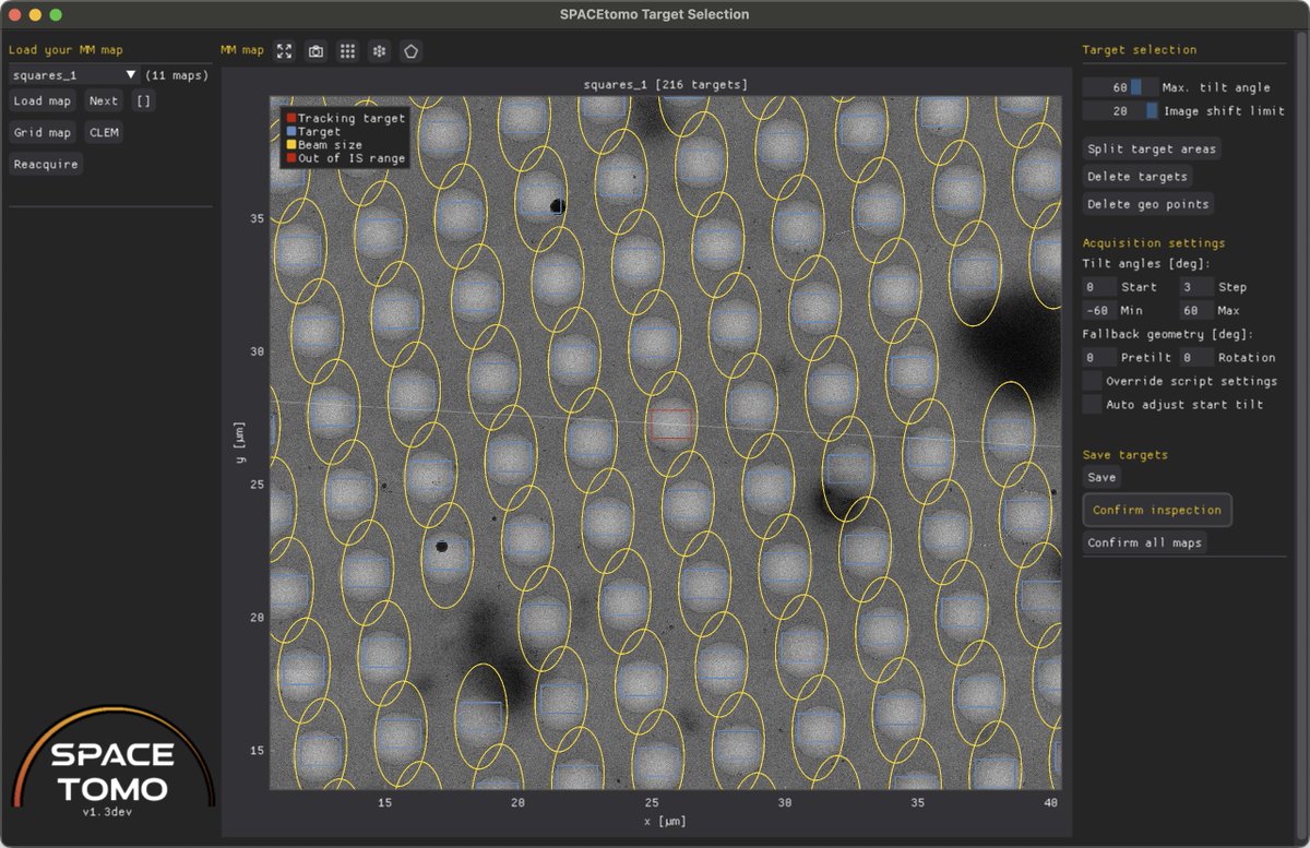 EisFabian's tweet image. SPACEtomo v1.3 is now available! What's new?
- Lots of tools for setting up targets on non-lamella samples
- Option for reacquisition of specific maps (e.g. after cleaning)
- Bug fixes and more robust
Give it a try and let me know what is still missing!
github.com/eisfabian/SPAC…