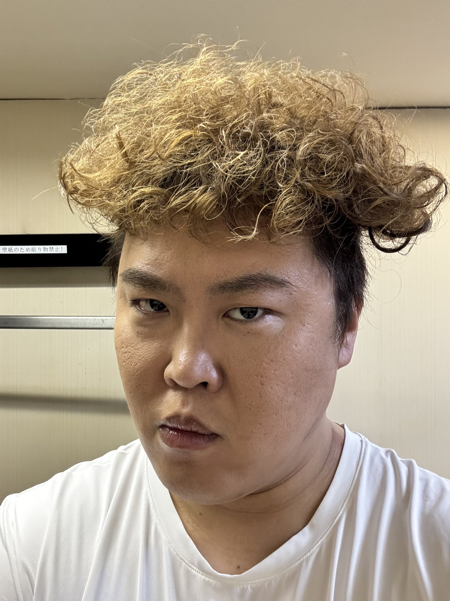 マユリカ中谷 on X: 