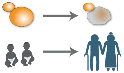 Houseley Lab tweet media
