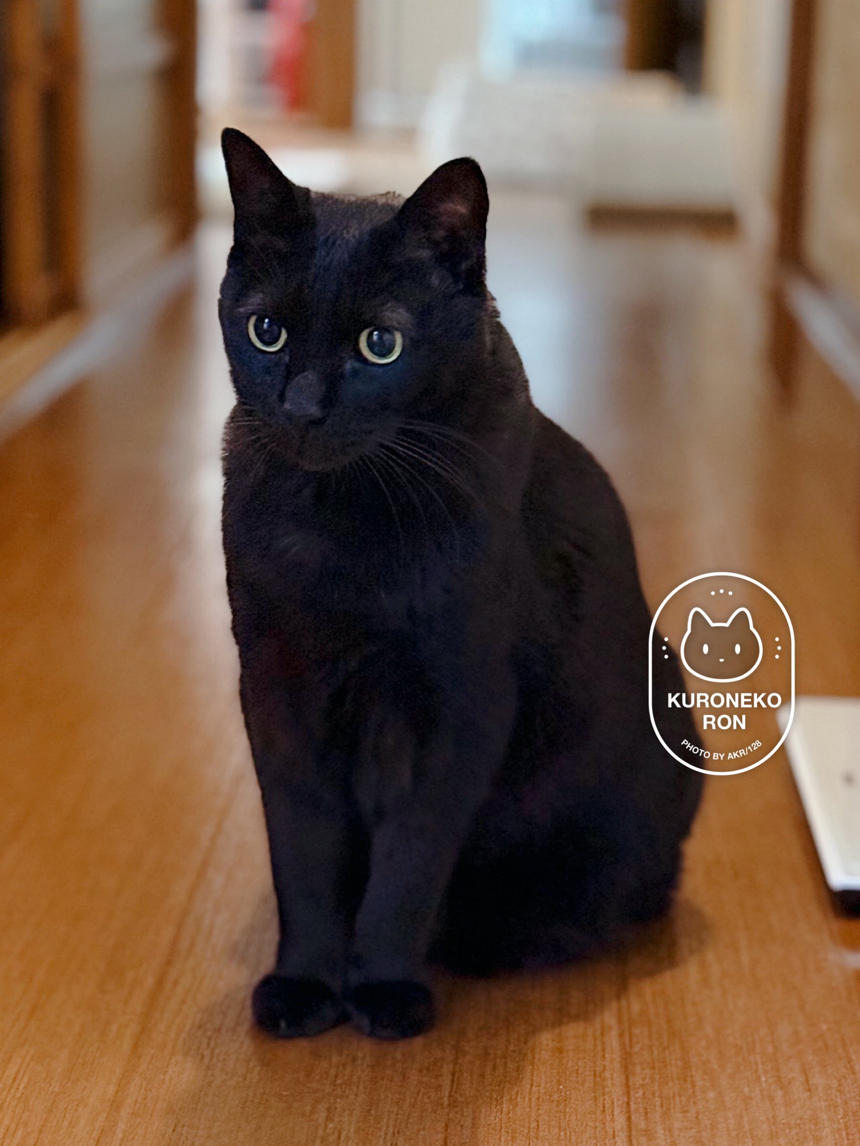 黒猫様♡ありがとうございます♡