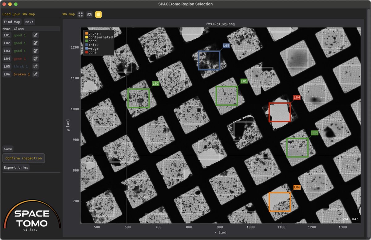 EisFabian's tweet image. SPACEtomo v1.3 is now available! What's new?
- Lots of tools for setting up targets on non-lamella samples
- Option for reacquisition of specific maps (e.g. after cleaning)
- Bug fixes and more robust
Give it a try and let me know what is still missing!
github.com/eisfabian/SPAC…