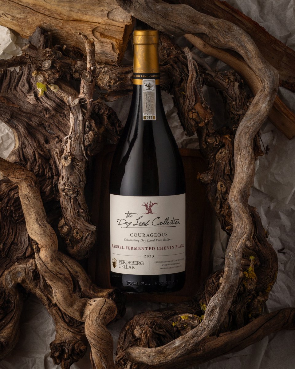 Joseph’s Legacy in the Dryland Collection reflects the character of our vineyards with a balance of rich fruit and elegant structure. It’s an approachable wine with subtle oak influence, offering hints of dark fruit and a smooth, satisfying finish.