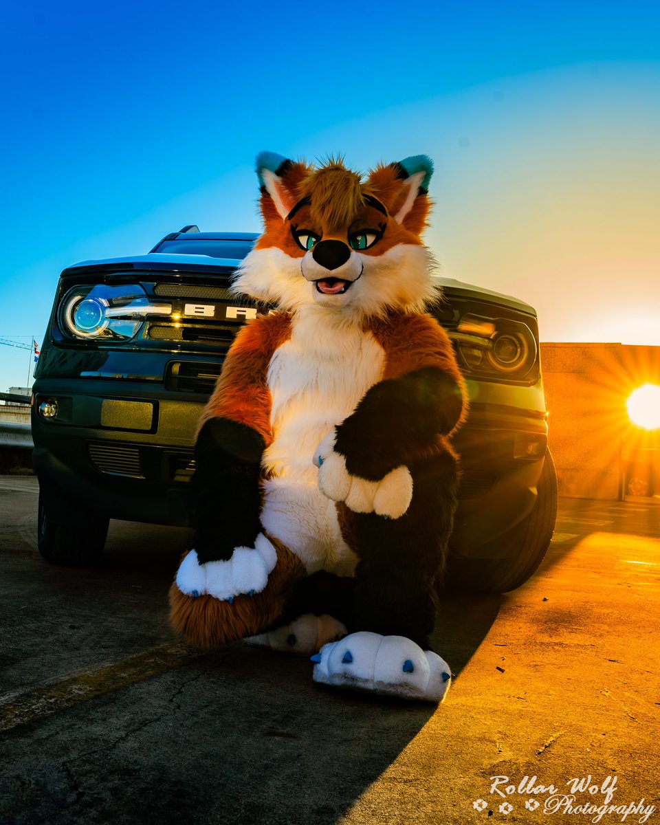 After we celebrate #FursuitFriday let’s ride off into the sunset together 

📸<a href="/rollarwolf/">Rollar Wolf</a>