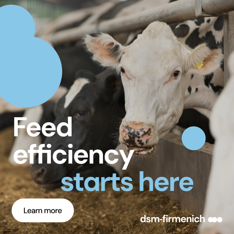 dsmfirmenichANH's tweet photo. Rising feed costs? It’s time to maximize protein utilization. At dsm-firmenich, we’re changing the game with RONOZYME® RumiStar™ and CRINA® Ruminants. Our science-backed solutions boost digestibility, increase protein efficiency, and reduce costs.