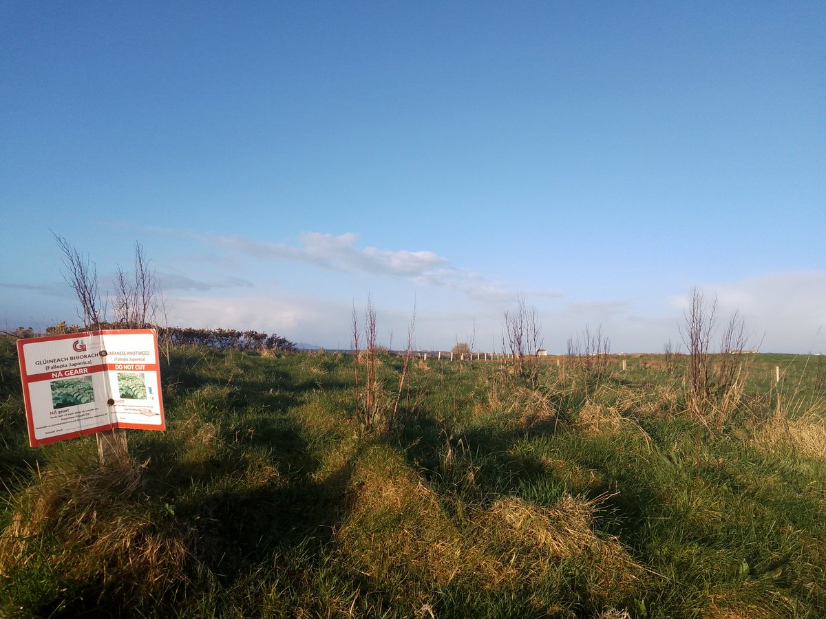 JStiepani's tweet image. Stop #invasive species! #Ecosystem services depends upon natural structure and #function of the near shore grasslands and meadows. #Resilience can be lost and ecosystems can collapse or enter a new state 🌱👇🌟 when natural or native #biodiversity is lost