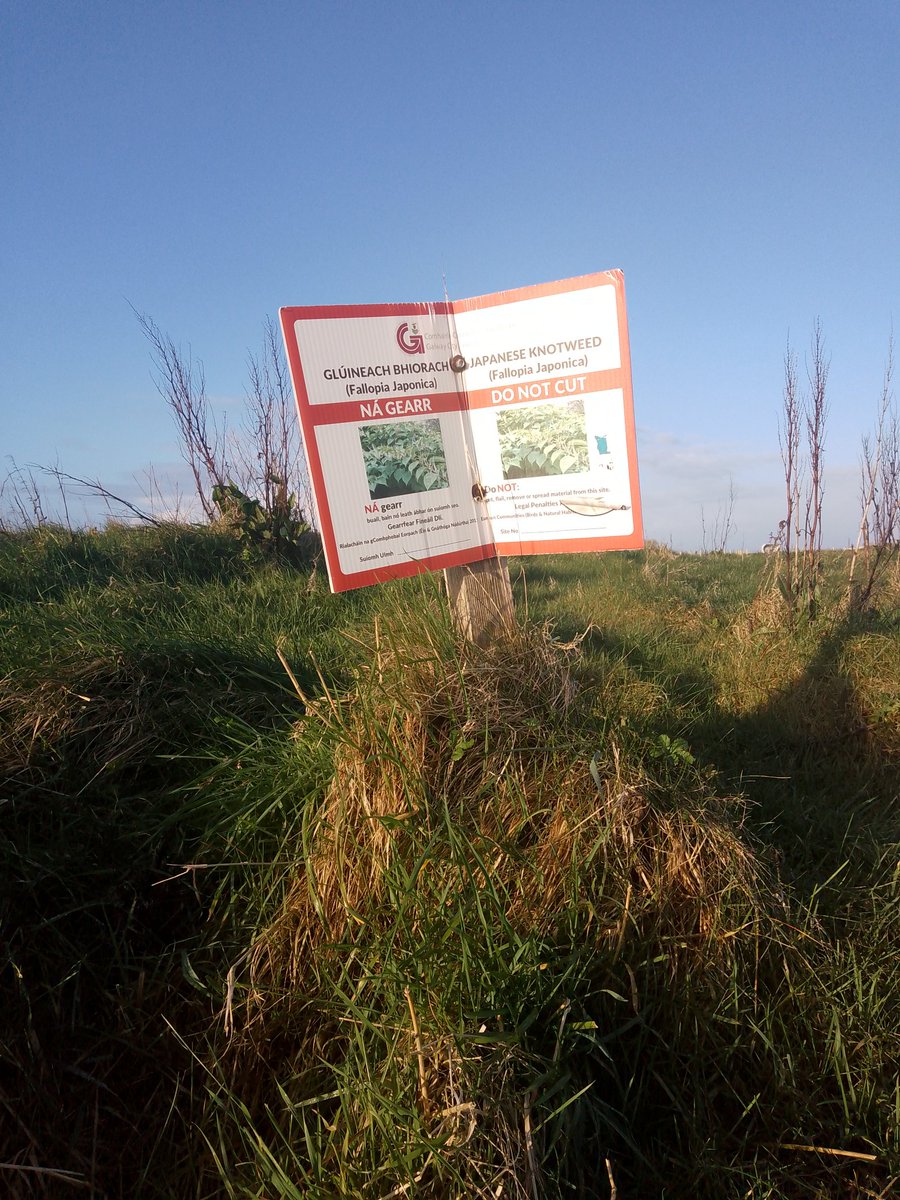 JStiepani's tweet image. Stop #invasive species! #Ecosystem services depends upon natural structure and #function of the near shore grasslands and meadows. #Resilience can be lost and ecosystems can collapse or enter a new state 🌱👇🌟 when natural or native #biodiversity is lost