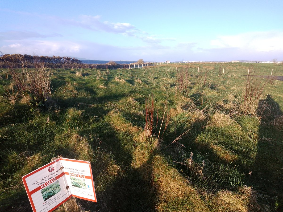 JStiepani's tweet image. Stop #invasive species! #Ecosystem services depends upon natural structure and #function of the near shore grasslands and meadows. #Resilience can be lost and ecosystems can collapse or enter a new state 🌱👇🌟 when natural or native #biodiversity is lost